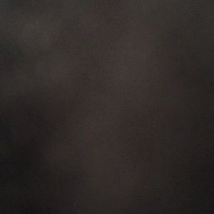 Meet your Posher, Ariana